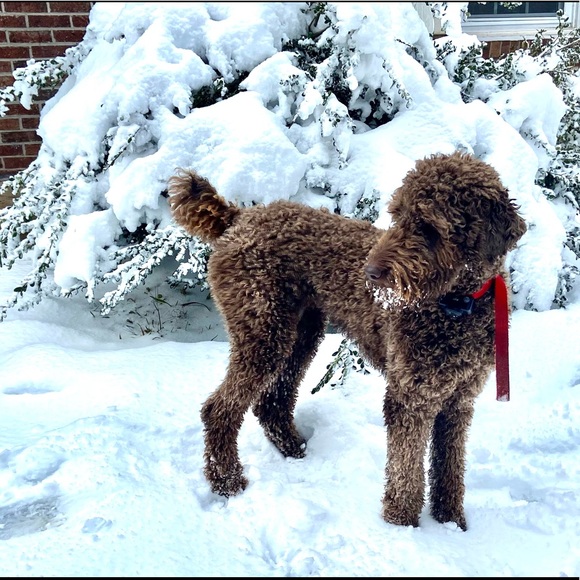 B4 the internet, I thought I was the only Chasta - Picture 10 of 10